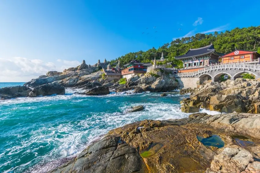 ▲韓國釜山春季(3月至5月)氣候溫和,適合賞櫻、觀賞壯麗海景,圖為釜山知名景點海東龍宮寺