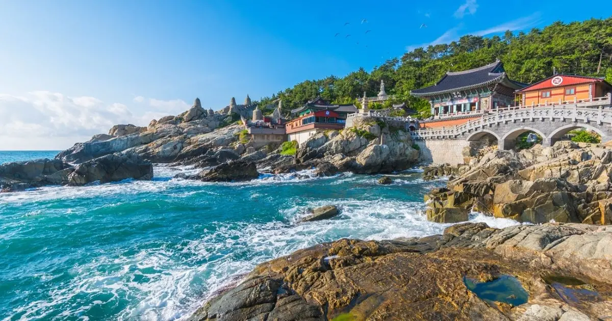 韓國9,900元起賞櫻行程熱銷搶位！五福旅遊推出韓國狂歡優惠、再加碼0元遊韓國。