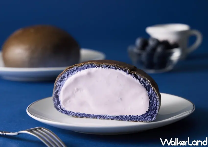 ▲韓國人氣甜點延世大學再度推出全新「藍莓優格風味生乳包」,是台灣限定口味。