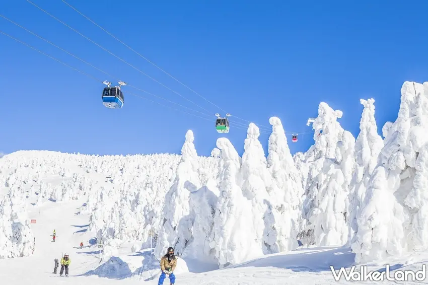 ▲日本滑雪之旅,推薦日本東北航點,長榮航空此次獨家促銷1萬4有找