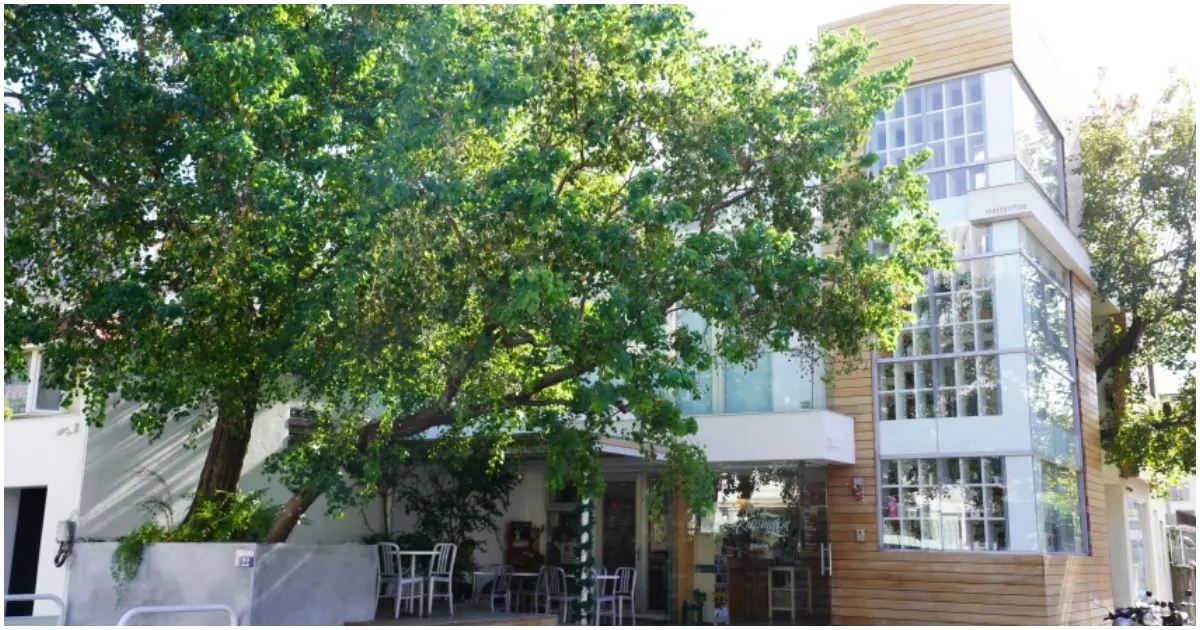 咖啡迷必訪台中咖啡廳！The Factory Mojocoffee藏在精明商圈，入選台灣最棒25 間咖啡廳。