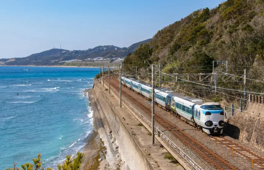 ▲熊貓黑潮號不是普通列車,車身以白濱町冒險世界的超人氣熊貓為主題。