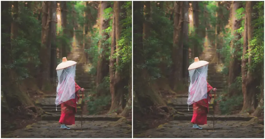 ▲可以漫步於世界遺產熊野古道的「大門坂」,感受古道的歷史氛圍。