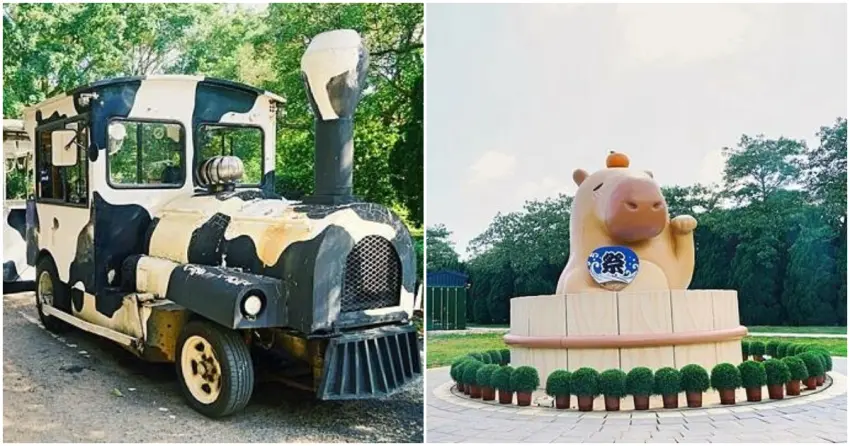 ▲埔心牧場必拍的可愛角落！看著水豚君享受泡澡的呆萌模樣，或是搭乘乳牛造型遊園車穿梭園區，每個角落都充滿童趣。