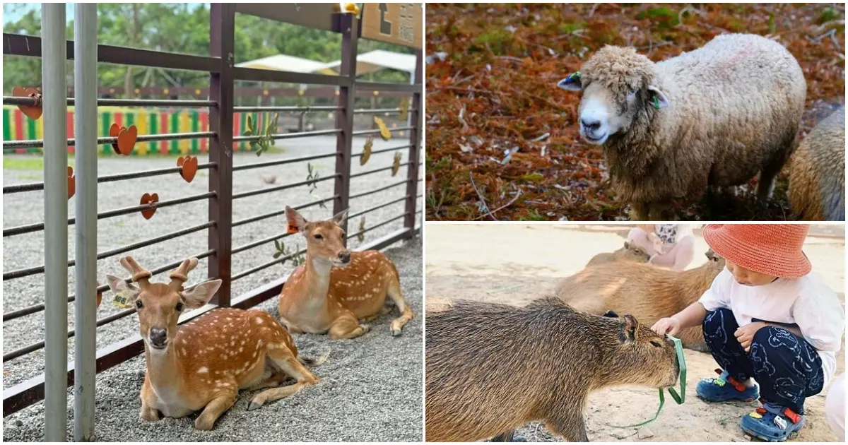 全台9間特色牧場推薦！餵水豚、喝鮮奶全攻略，親子旅遊必訪宜蘭小奈良。