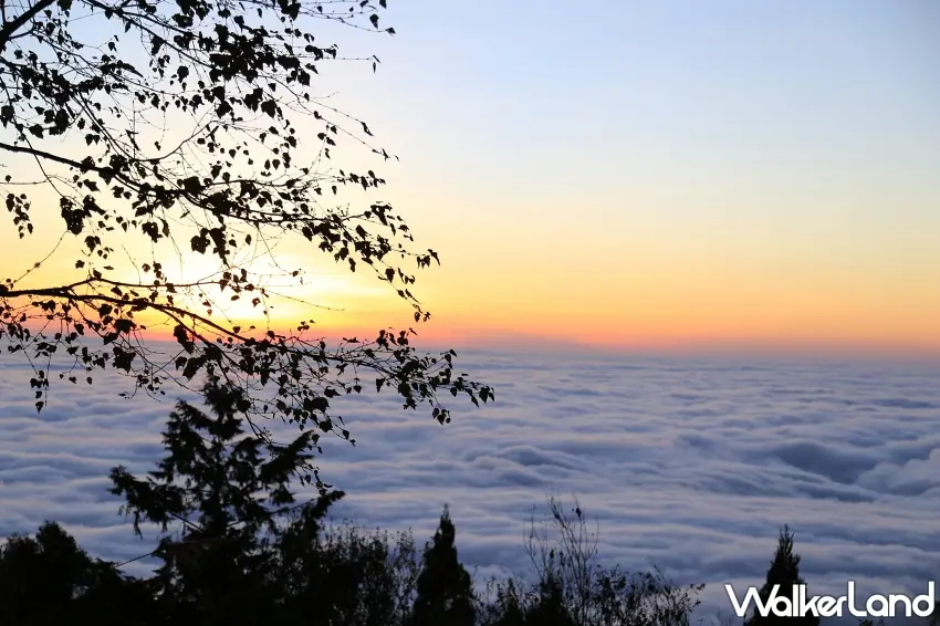 ▲漫步至阿里山慈雲寺,古樸的鐘樓與周邊變色葉植物相映成趣,遊客可在此欣賞絕美夕陽與晚霞。