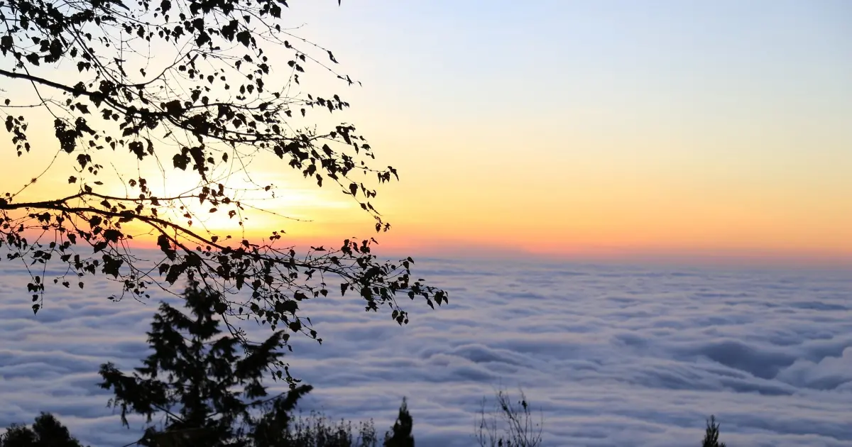 2026元旦追曙光懶人包！阿里山慈雲寺賞夕陽、祝山車站看日出，絕美雲海一次收錄。