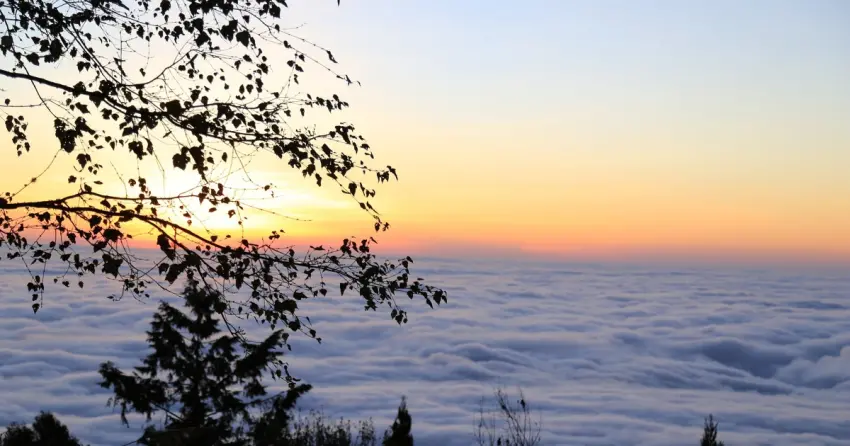 2026元旦追曙光懶人包！阿里山慈雲寺賞夕陽、祝山車站看日出，絕美雲海一次收錄。