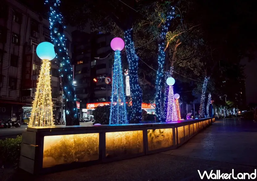 ▲鴨母港溝周邊每棵樹下還有五顏六色的小聖誕樹。