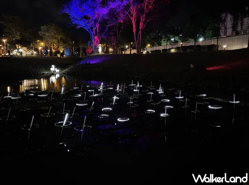 ▲原有機製團隊帶來的《落雨》則帶來另一種靜謐的悸動