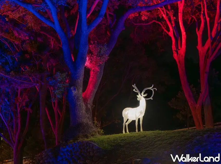 ▲引人深思的作品是林國瑋的《SWEET NIGHT》,在這脆弱、安靜卻極其真實的情感交換,是整場展覽中最溫暖的角落