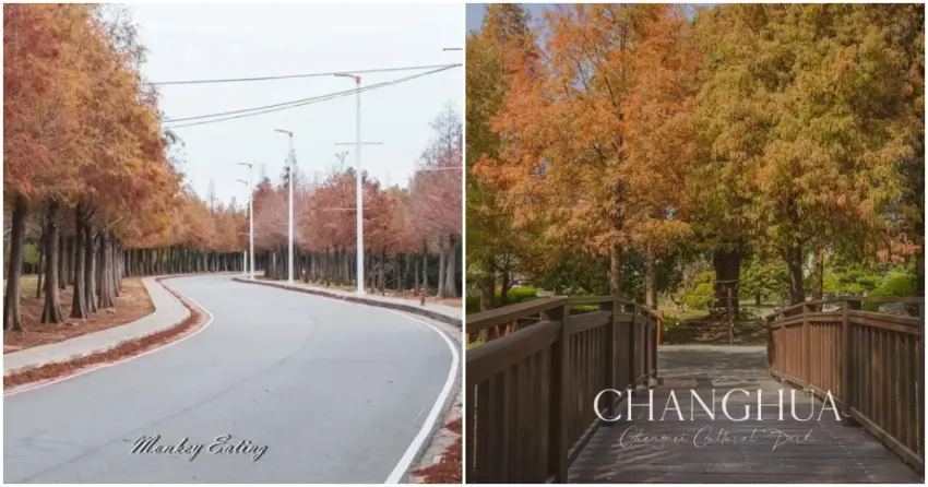 秋冬限定！絕美落羽松打卡景點，全台7大必去秘境一次看，必訪成美文化園。