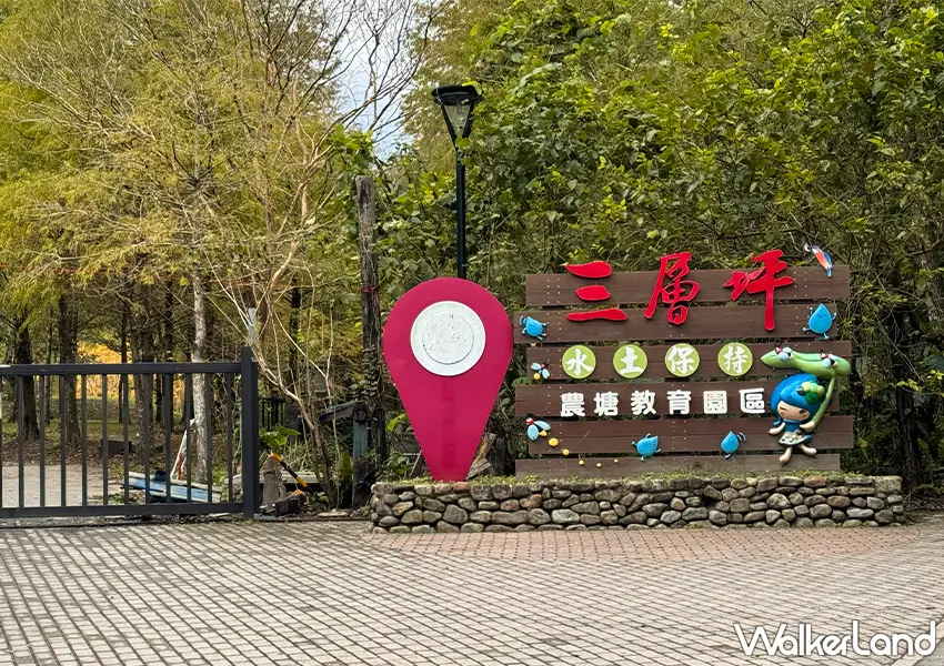 ▲宜蘭落羽松秘境開放預約!三層坪農塘 九層疊瀑必拍,錯過再等一年。