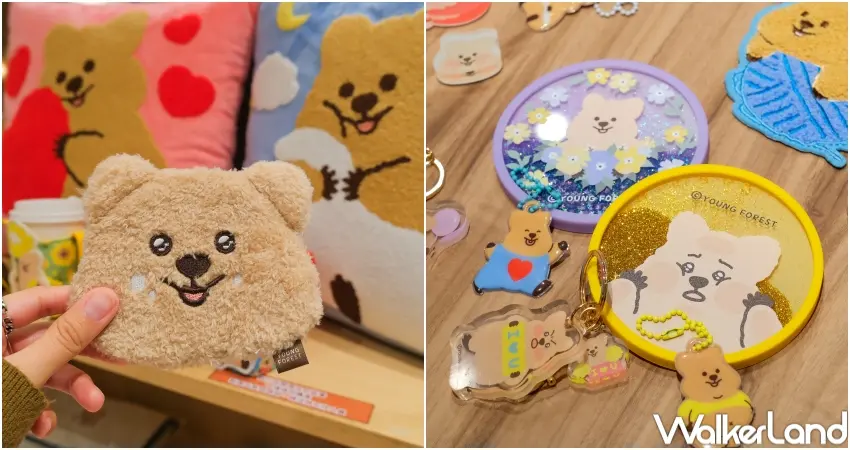 ▲勾卡KKOTKA快閃店推出抱枕與杯墊等品項,結合角色插圖與實用設計,適合日常使用。(攝影:張人尹)