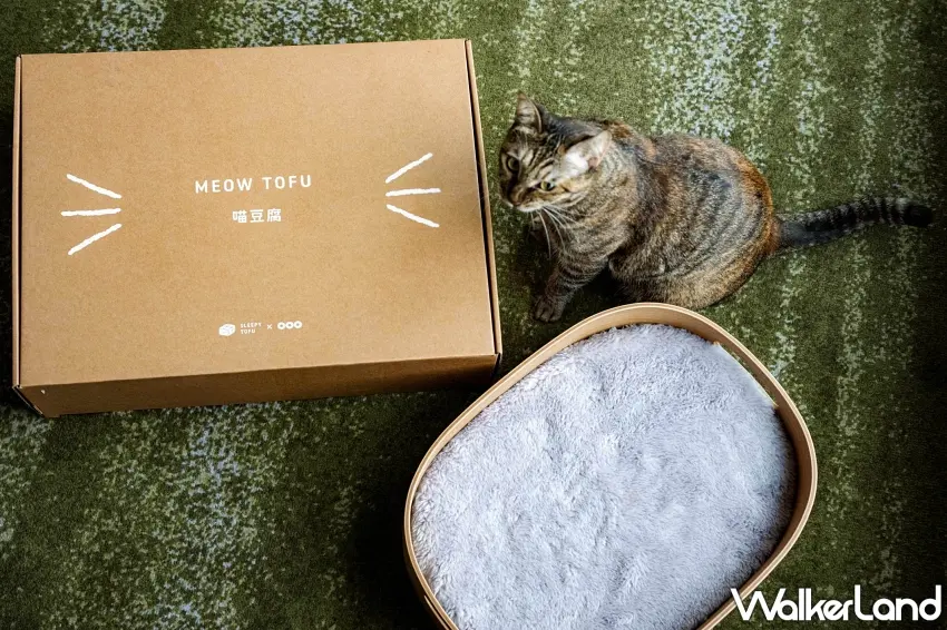 ▲貓咪主題房全新導入「喵豆腐寵物床」,這款床組結合了記憶棉與曲木工藝,貓咪在開箱後立刻好奇地探索這款頂級睡眠設備