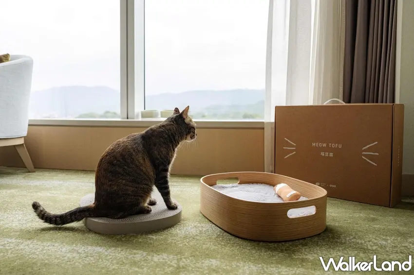 ▲房內大面落地窗前配置了「喵豆腐專屬貓抓板」與床組,讓貓咪能一邊享受抓磨樂趣,一邊眺望南港戶外風景,舒緩旅途壓力