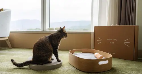 毛小孩睡到不起床！六福萬怡導入喵豆腐記憶棉床組，毛爸毛媽一起升級旅宿體驗。