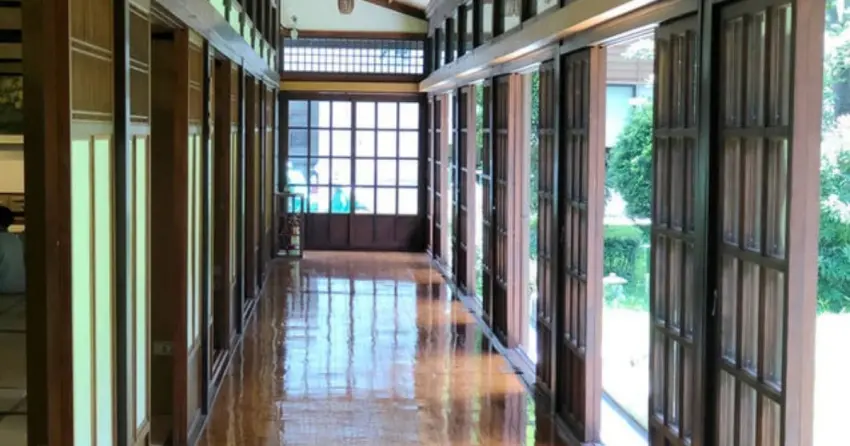 ▲台北最療癒的光影角落！坐在紀州庵的通透長廊，凝視窗外綠意與陽光灑落，享受片刻與世隔絕的寧靜。