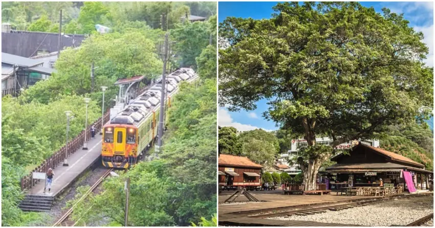 ▲隱身蓊鬱山林的望古車站、群山環抱的車埕車站，在濃濃綠意裡，時間似乎也悄悄地慢了下來。（部落客：小虎食夢網、jacklsy）