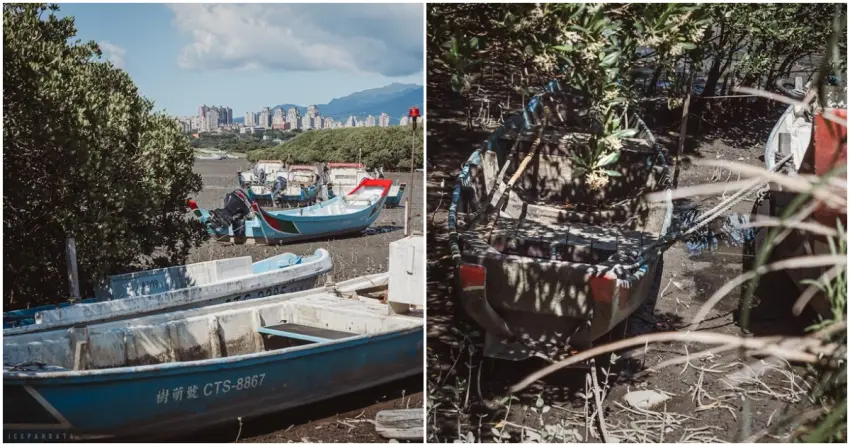 ▲隱身在紅樹林間的「無名碼頭」，是近距離觀賞招潮蟹、彈塗魚的最佳生態教室。