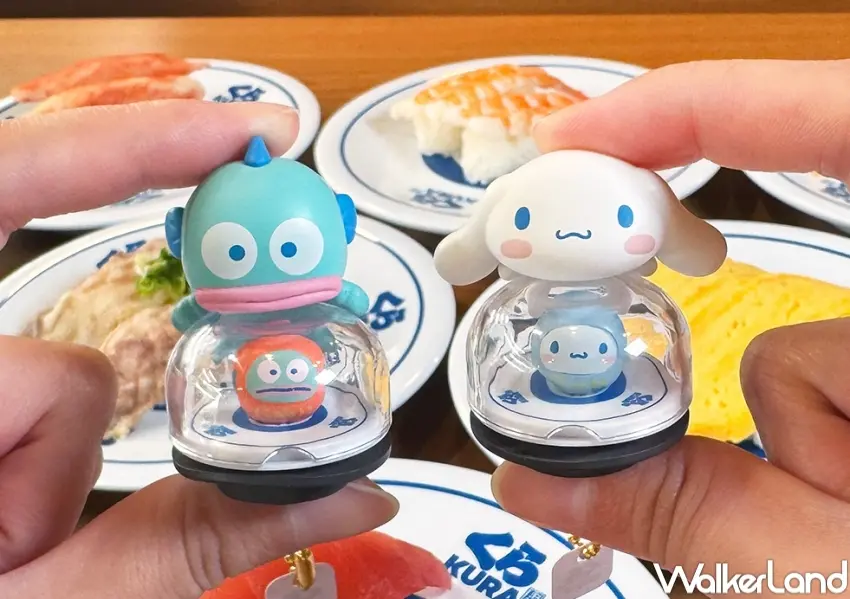 ▲藏壽司三麗鷗扭蛋系列推全新「三麗鷗家族達摩造型扭蛋」。