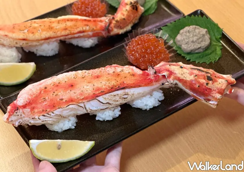 ▲壽司郎全台限量1300份的「炙燒一本奢華帝王蟹腳」霸氣登場。
