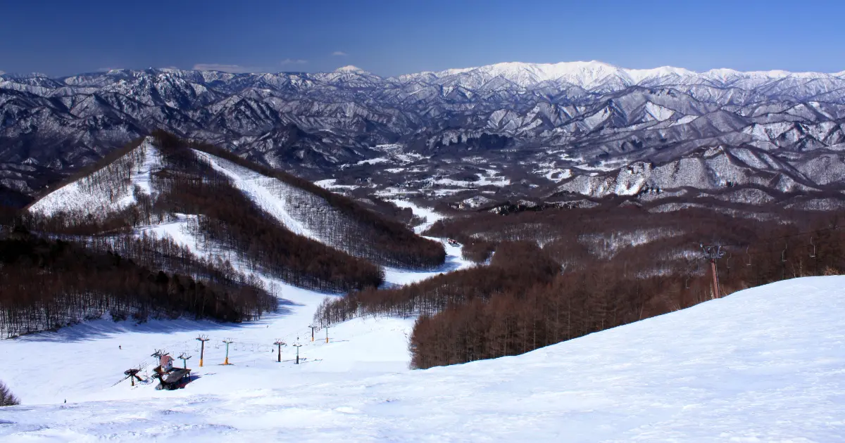 日本滑雪新玩法！深夜臨時列車限定23天，23：45東京深夜發車，睡一覺醒來就在滑雪場。