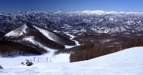 日本滑雪新玩法！深夜臨時列車限定23天，23：45東京深夜發車，睡一覺醒來就在滑雪場。
