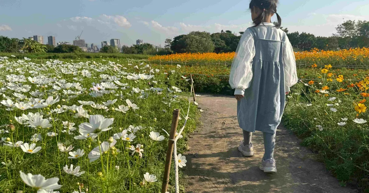 迎接2026跨河煙火前先打卡！三重鴨鴨公園、淡水金色水岸打造冬季療癒新亮點。