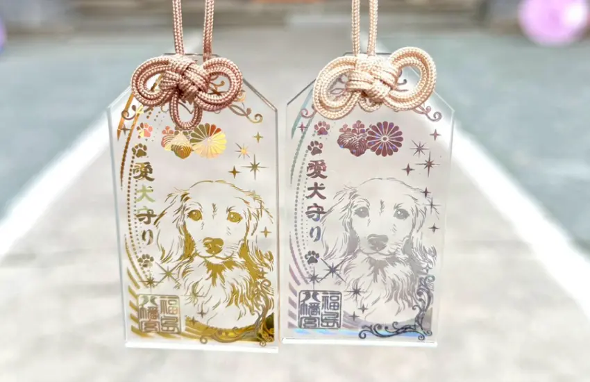 ▲臘腸寶寶也有專屬的御守。