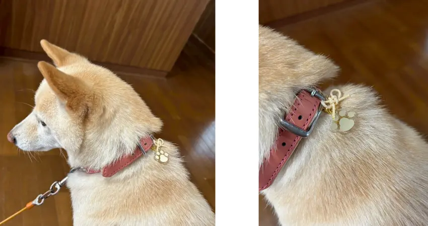 ▲親手掛在家中毛寶意義非凡。