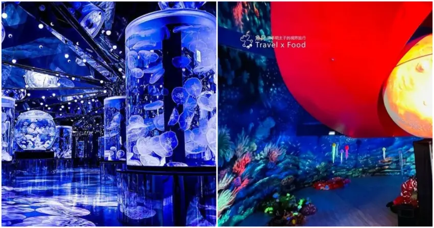 ▲「Xpark」 的水母展示區隨著燈光變換，迷人光影讓人屏息。「基隆潮境智能海洋館」結合 5G 科技 的沉浸式投影，海底世界化為絢麗的藝術展演。