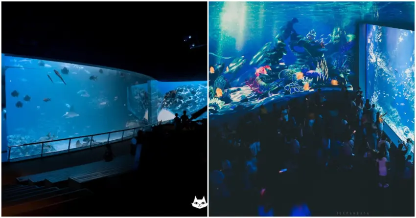 ▲屏東海生館結合投影科技，讓深海展區煥發科幻新意；右圖為備受矚目的台中海洋館，巨型觀賞窗震撼力十足，湛藍光影灑落的唯美畫面，是台中必訪的旅遊新地標！