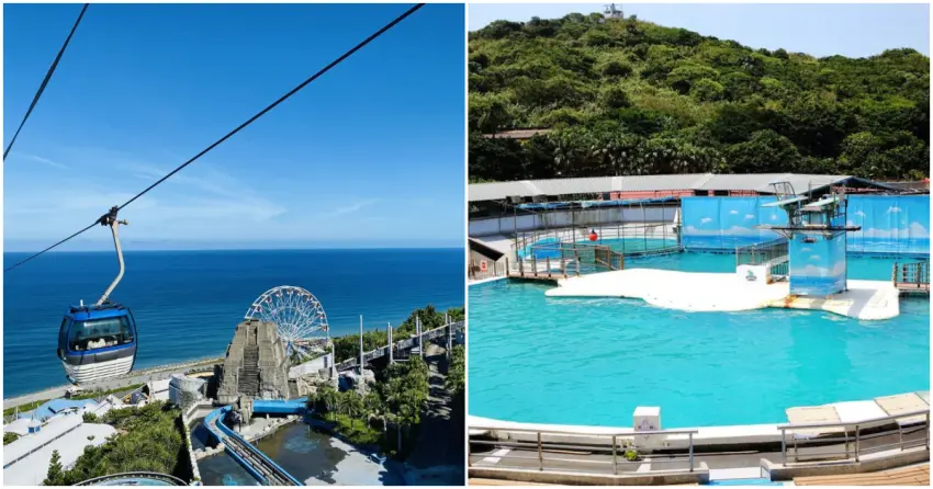 ▲在花蓮遠雄海洋公園，可以搭乘纜車獨享太平洋的無敵海景，將東海岸的遼闊盡收眼底；而經典不敗的野柳海洋世界，熟悉的跳水高台與動物互動，承載了滿滿的童年回憶。