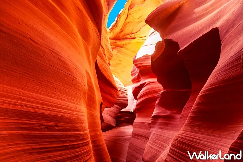 ▲星宇航空台北直飛鳳凰城即將於明年1月開航，鄰近人氣景點羚羊峽谷，促銷票價含稅免2萬4 / 易遊網