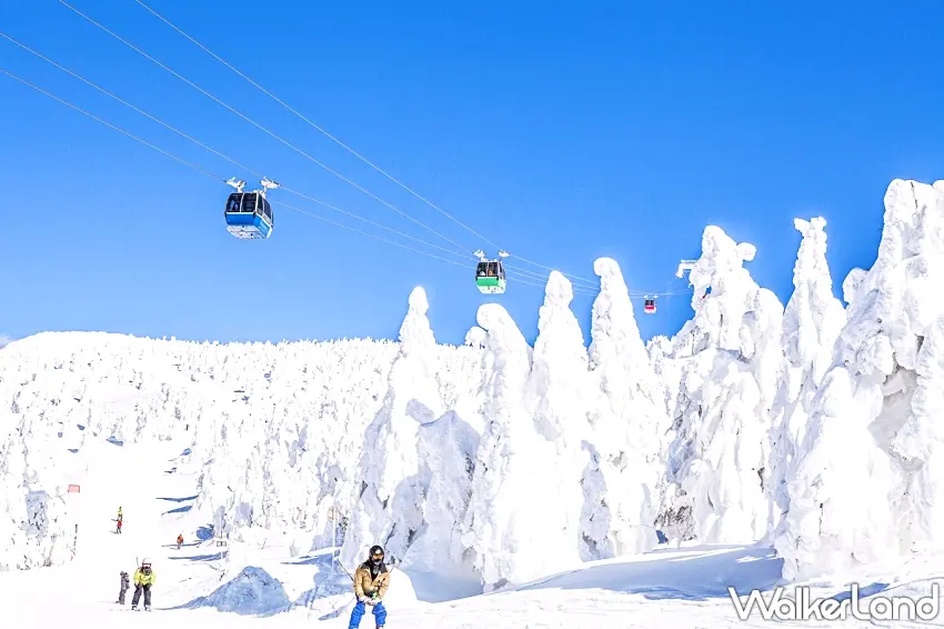 ▲春節跟團買氣成長3成，赴日賞雪戲雪的需求顯著，推升日本團依舊蟬聯熱銷冠軍/易遊網