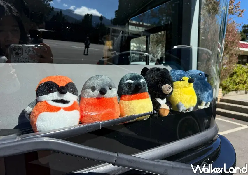 ▲雄獅旅遊森林巴士搶道缺貨的台灣特色動物玩偶迎接旅客。(攝影：鄭雅之)