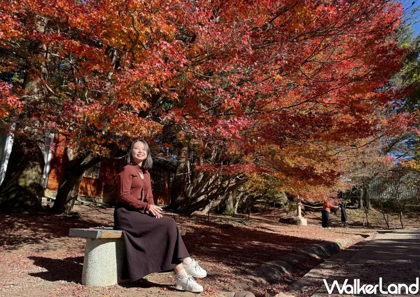 ▲福壽山、武陵農場四季都有不同的美景。(攝影：鄭雅之)