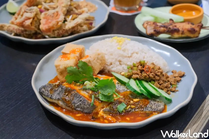 ▲帕泰家個人獨享餐加入泰式酸辣烤魚，酸辣層次集中在個人份量中。（攝影：張人尹）