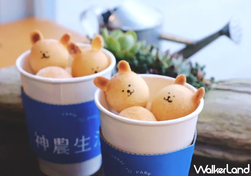 ▲理想PAARK進駐品牌神農生活限定萌熊QQ球，童趣造型超吸睛 圖／花蓮理想大地渡假飯店提供；窩客島整理