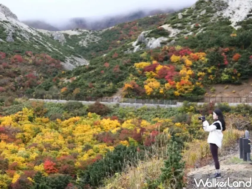 ▲福島磐梯吾妻Skyline一生必訪。(攝影：鄭雅之)