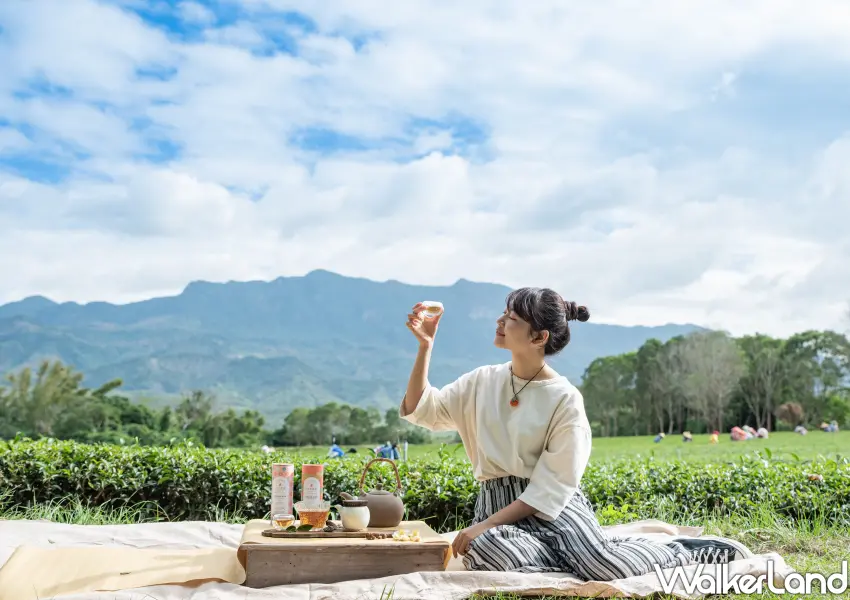 ▲「女兒不懂茶」帶大家親自品飲五款紅烏龍。