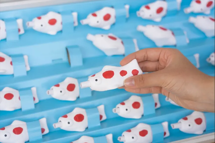 ▲廣島護國神社鯉魚造型的御神籤呼應神社內的鯉魚雕像，外型可愛也很值得收藏。