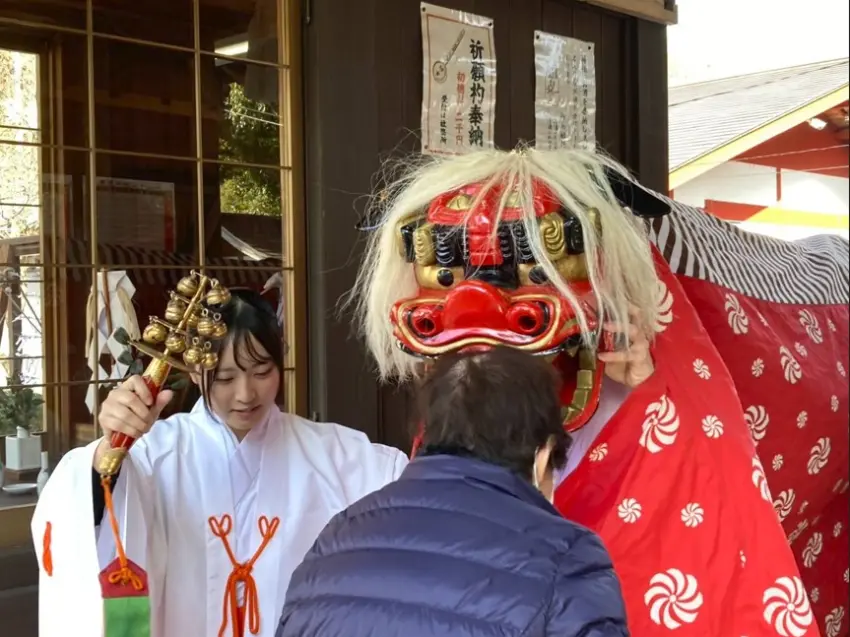 ▲三原市瀧宮神社，將頭伸向獅子的嘴讓它「咬一下」，據說即可保佑新的一年無病無災
