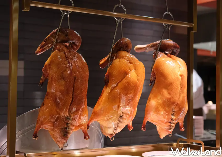 ▲漢來島語吃到飽台茂推薦必吃，膳區、炙區中式經典與功夫菜色、西式直火料理。(攝影：鄭雅之)