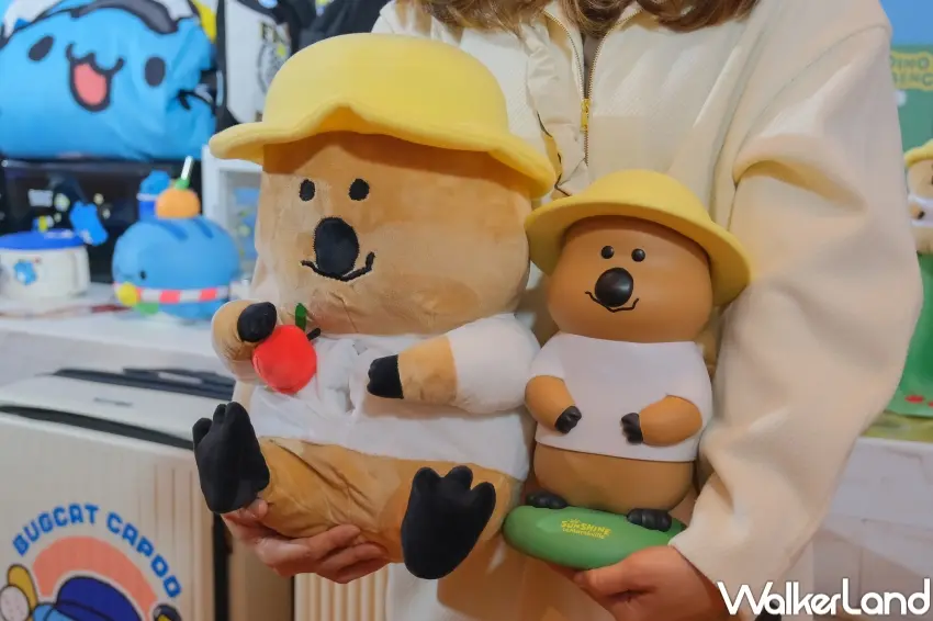 ▲7-11春節福袋集結DINOTAENG、三麗鷗、迪士尼等10大人氣IP，一次滿足不同粉絲喜好。（攝影：張人尹）