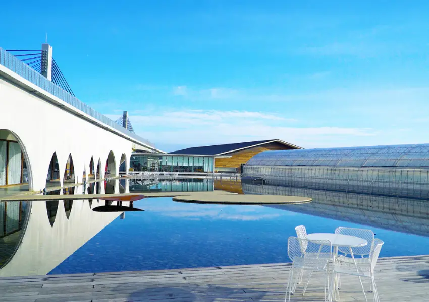 ▲日本草莓吃到飽！TSUJIGUCHI FARM 一人460元、22種草莓超犯規，來名古屋別錯過（株式会社アクアイグニス 提供）