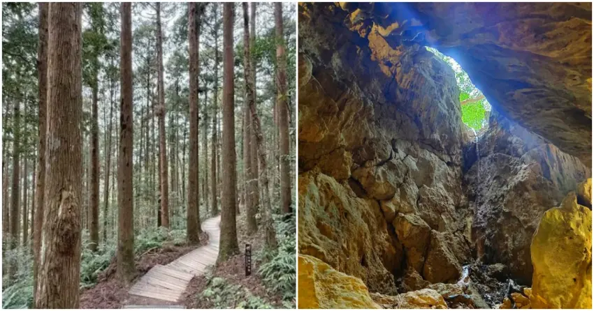 ▲想探索風格迥異的魔幻場景，不妨走進東眼山高聳的柳杉林，或深入墾丁宛如電影場景的鐘乳石洞，親身體驗台灣山林的獨特之美。