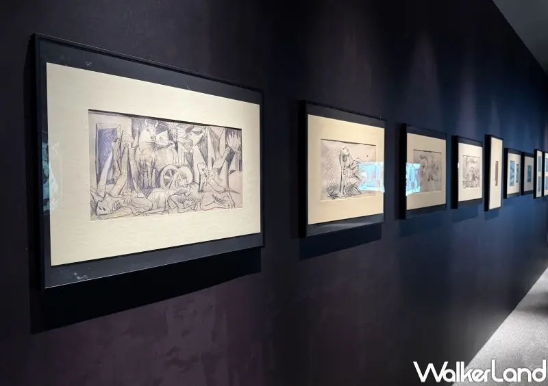 ▲台北沈浸式畢卡索展覽必看反戰巨作《格爾尼卡》展區，現場展出42幅創作草圖。(攝影：鄭亦庭)