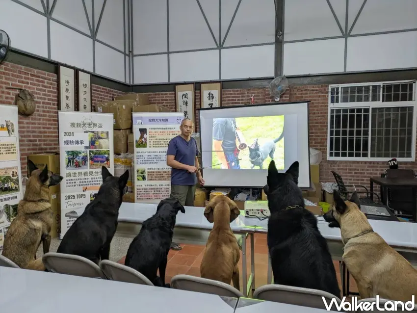 ▲周聰吉與他的6隻毛英雄。（台灣偵搜犬協會提供）